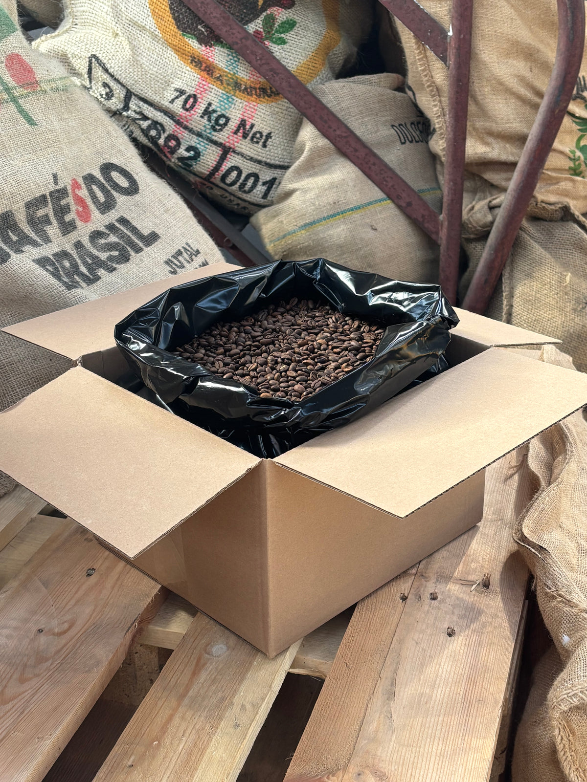 Café du Pérou BIO en grains – Sac 5 kg | Achat en gros