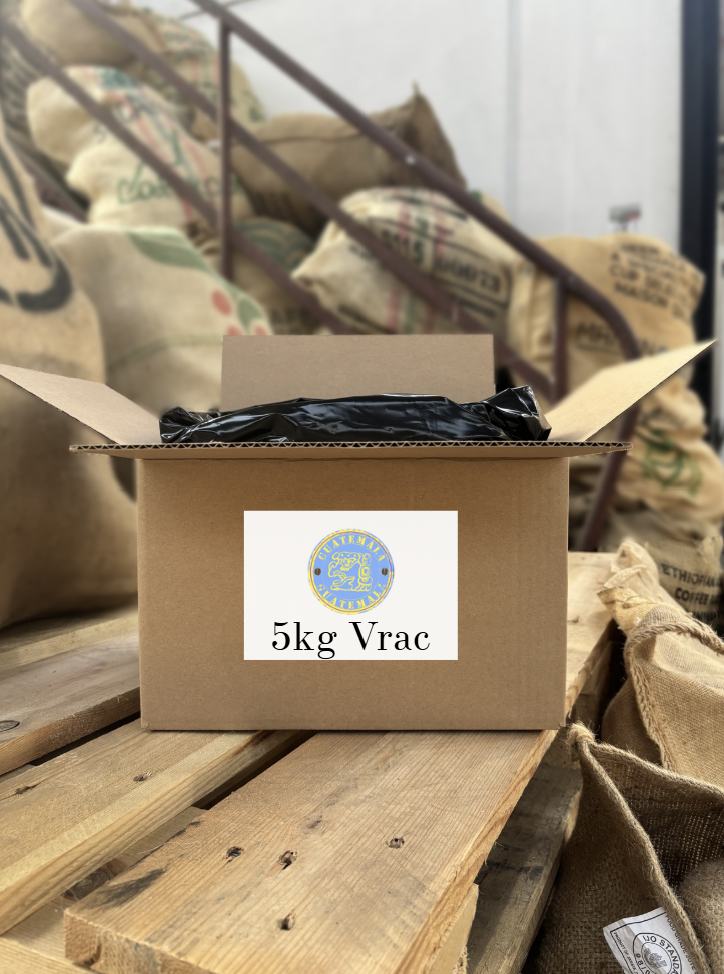 Café du Guatemala en grains – Sac 5 kg | Achat en gros
